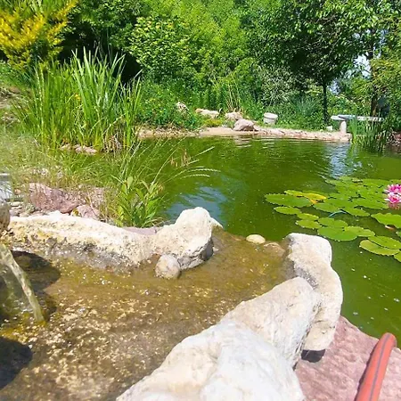 Penzion Verteskacsa 3*